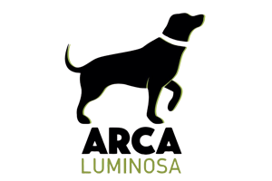 logo-arca-luminosa